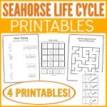 Learning about the Seahorse Facts and Life Cycle Printable has never been easier. Get these free printables to teach kids all about the seahorse.