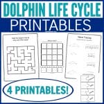 Looking for a fun way to teach kids about the Dolphin Life Cycle? This simple printable set helps kids learn through having fun. It has never been so easy to teach kids STEM and biology.