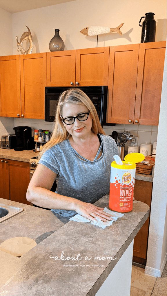 Disinfecting Wipes from LemiShine