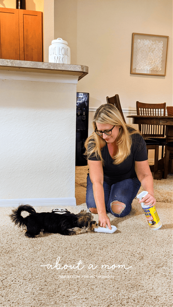 Stain & Odor Remover from Kids n Pets