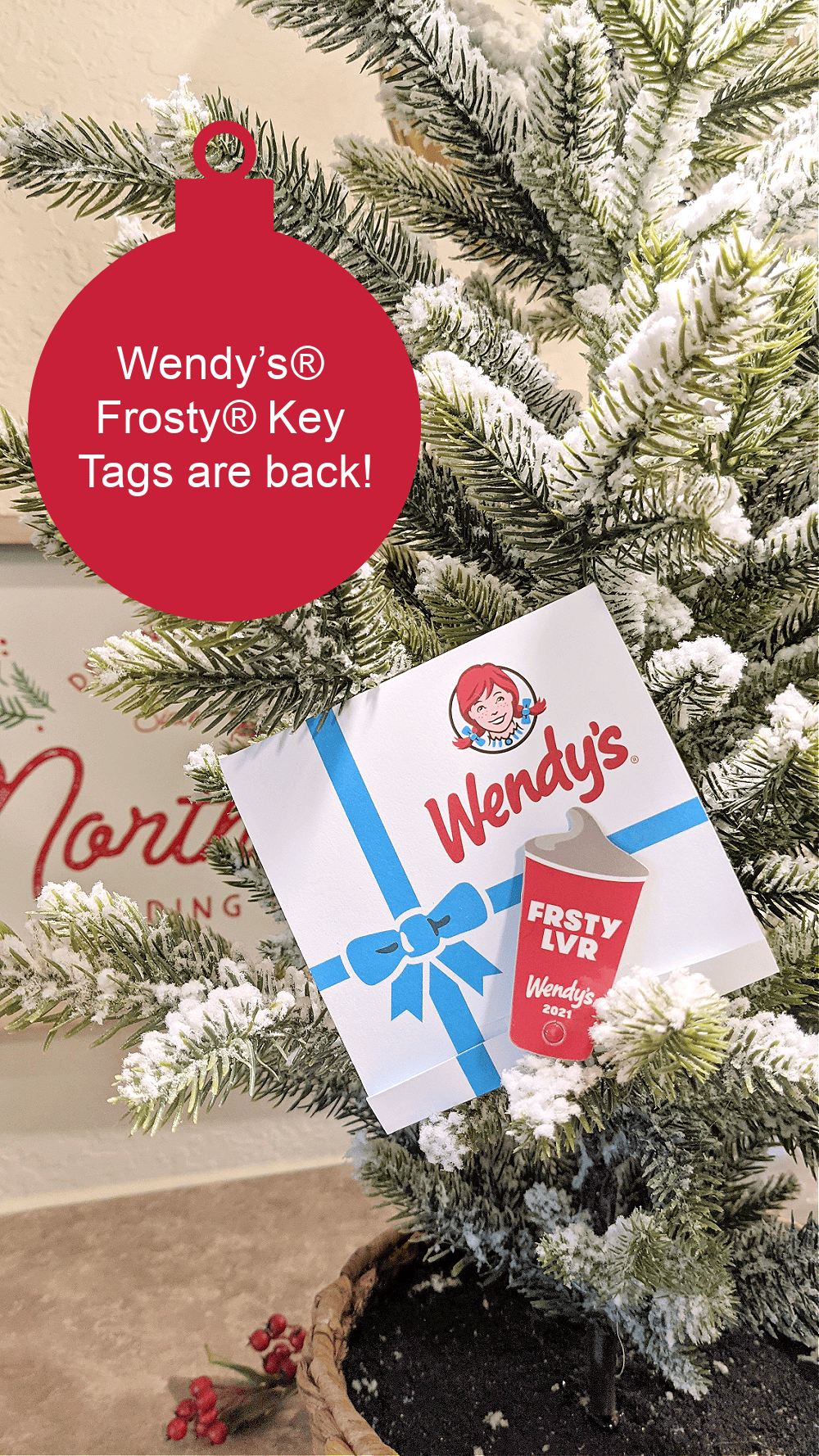 Wendy’s® annual Frosty® Key Tags fundraising program runs now through January 31, 2021. You can purchase a Wendy’s Frosty Key Tags for just $2 each, redeemable for one free Jr. Frosty treat per visit with any purchase in 2021 to support the DTFA’s efforts to find forever families for children in foster care.