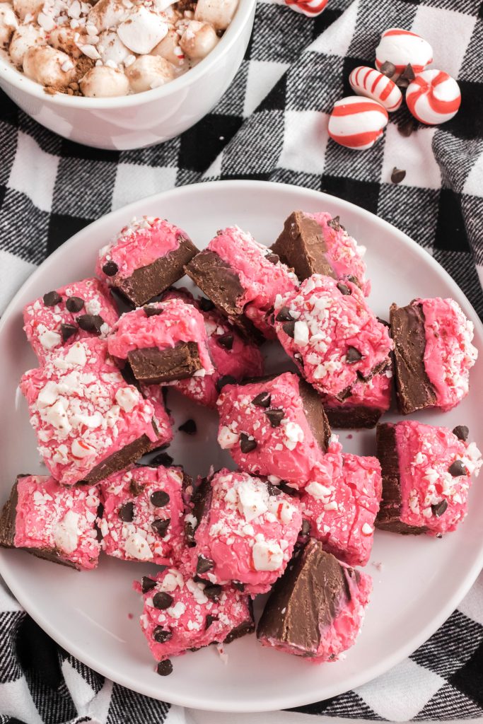 Love candy cane desserts? This Easy Peppermint Fudge recipe is perfect just in time for Christmas. It is sweet and creamy with additional topping that makes it perfect for a holiday dessert. 