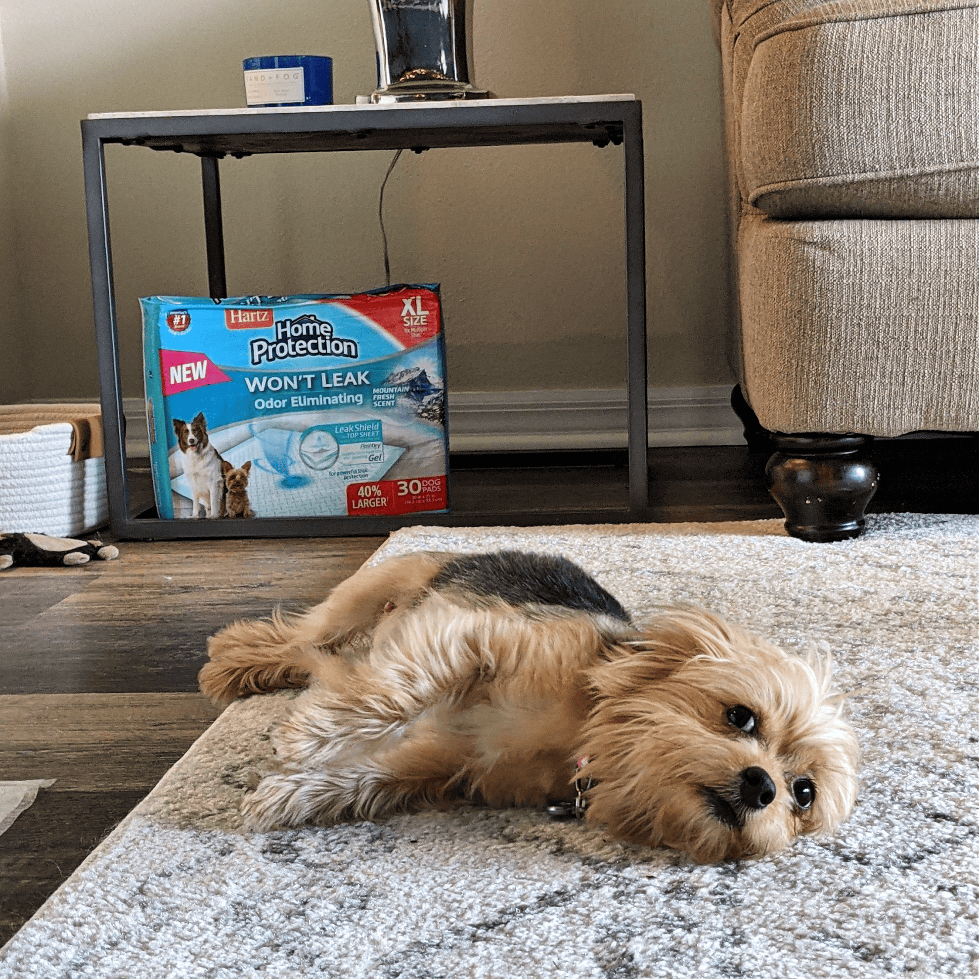 Hartz Home Protection Odor Eliminating Dog Pads provide superior leak proof and odor protection to help keep your home clean.