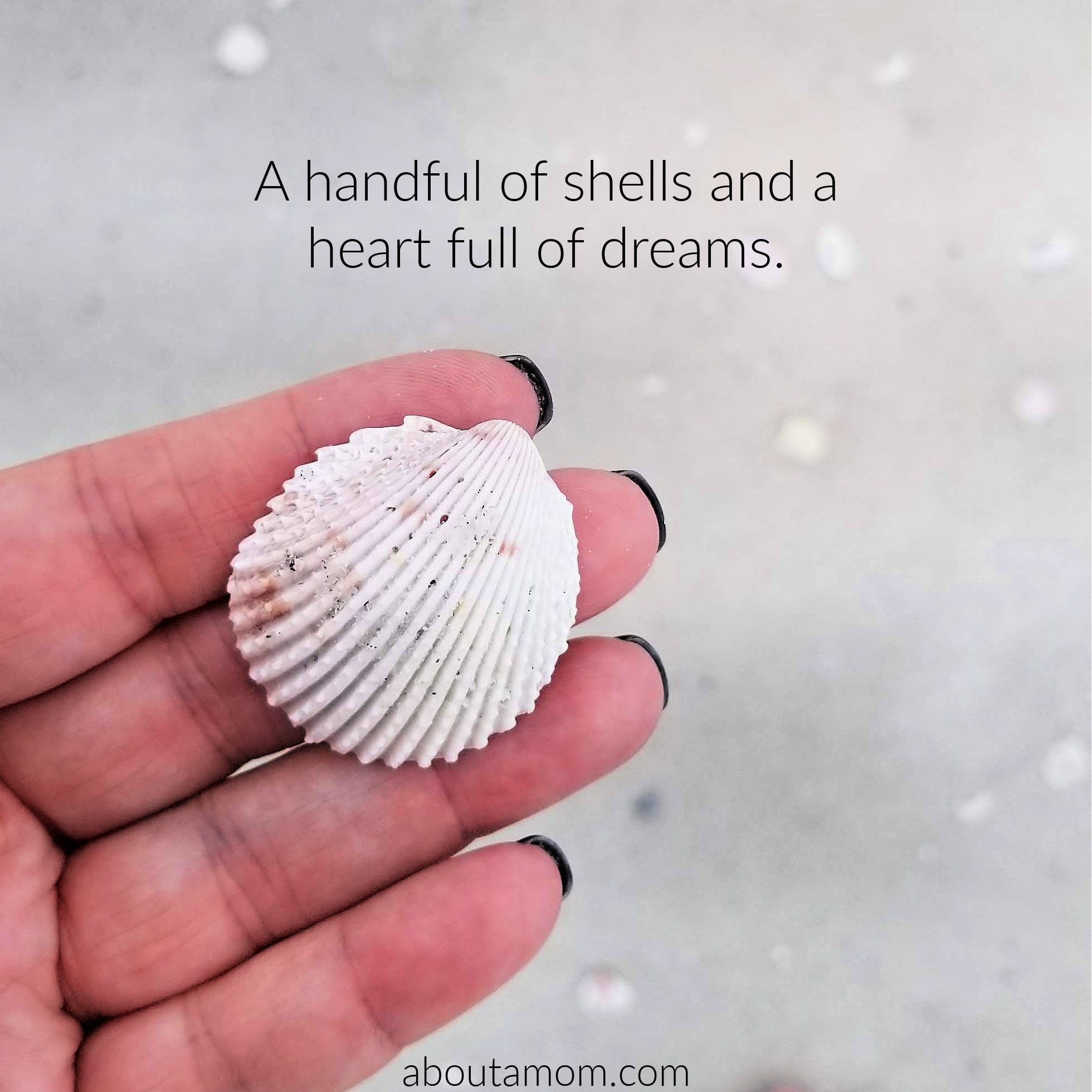 hand holding shell on a Florida beach