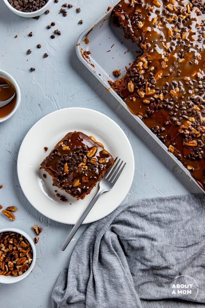 Texas Turtle Sheet Cake recipe is a fun and decadent take on the traditional Texas Sheet Cake. The buttermilk chocolate frosting is topped with chocolate morsels, caramel drizzle and chopped pecans.