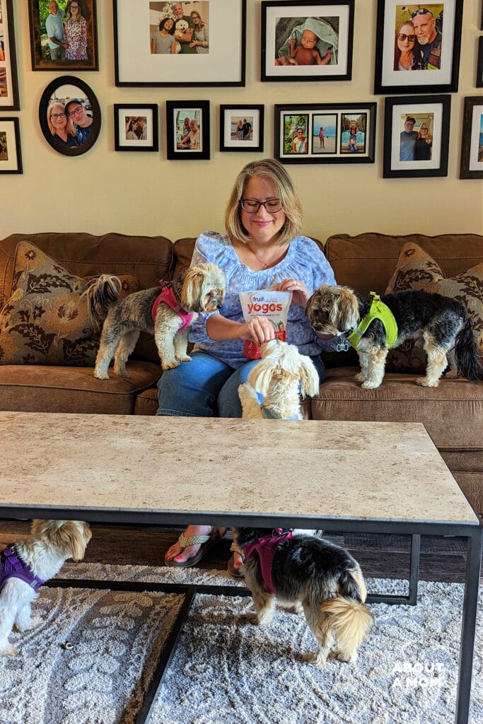 Woman sitting on couch giving fruitables dog treats to five small dogs.