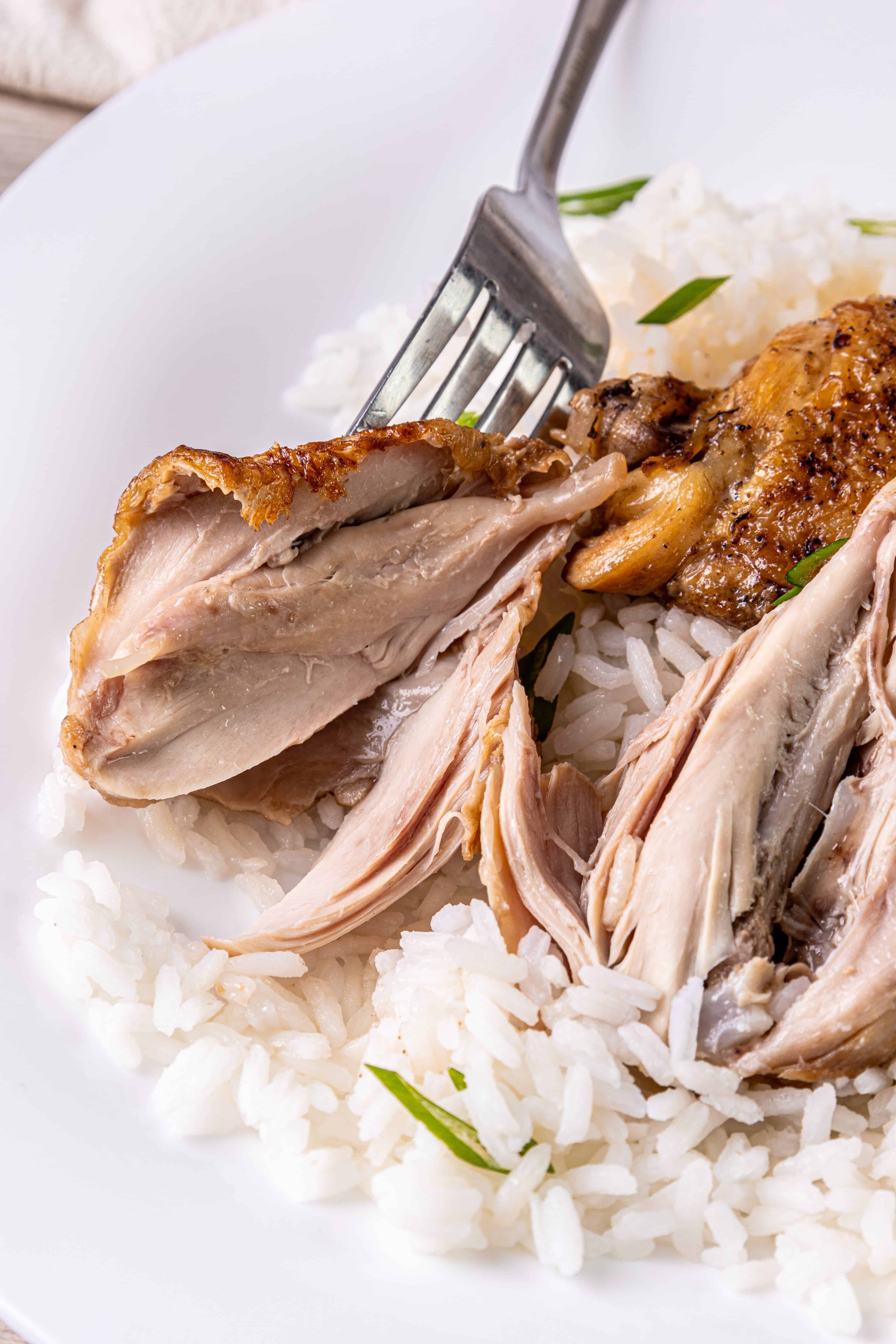 Chicken Adobo Crock Pot - About a Mom